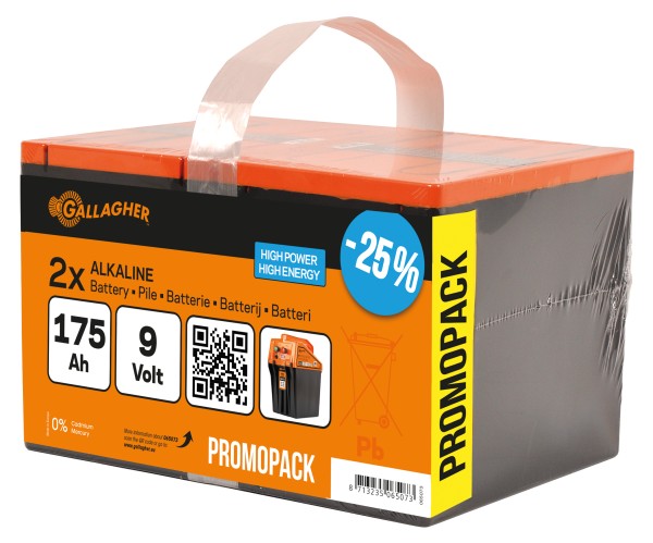 Duopack Alkaline Batterie 2x 9V/175Ah